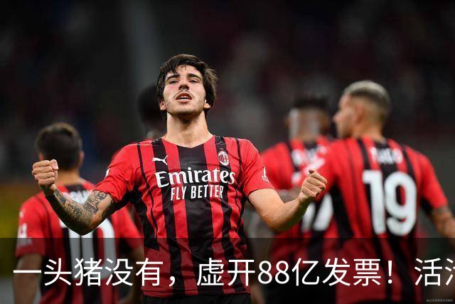 一头猪没有，虚开88亿发票！活活套走国企6000万