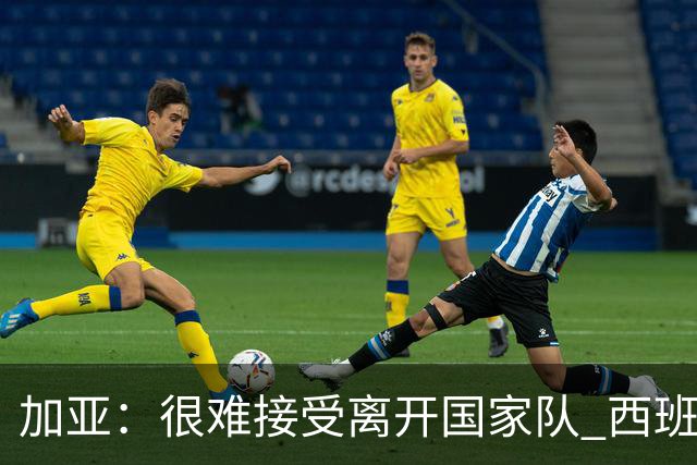 加亚：很难接受离开国家队 西班牙将踢出精彩世界杯