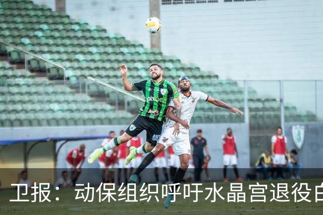 卫报：动保组织呼吁水晶宫退役白头海雕，别再用活体动物当吉祥物