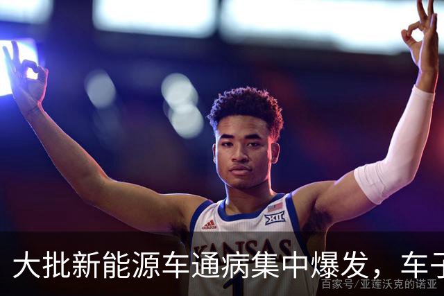 大批新能源车通病集中爆发，车子开着没问题，电池却直接废掉
