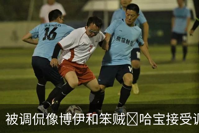 被调侃像博伊和笨贼🤣哈宝接受调侃：一旦接受这个设定😂