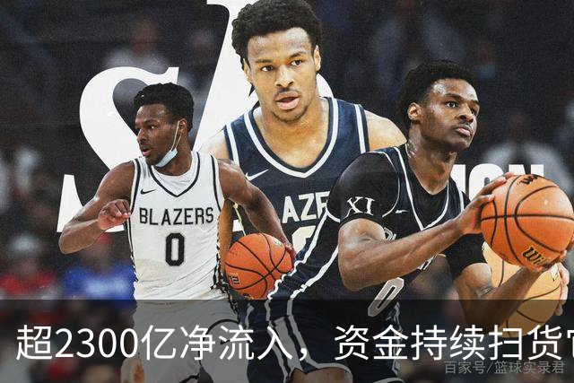 超2300亿净流入，资金持续扫货它们！高股息成亮点