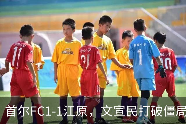 首尔FC1-1江原，文宣民打破僵局，姜俊赫救主