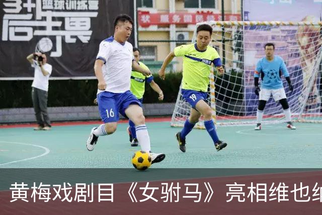 黄梅戏剧目《女驸马》亮相维也纳“中国戏演出季”