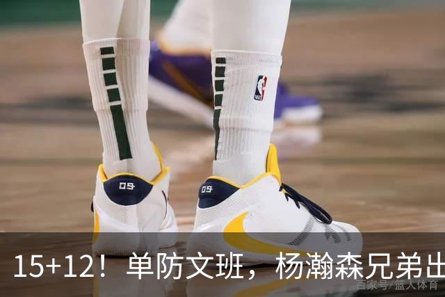 15+12！单防文班，杨瀚森兄弟出息了！
