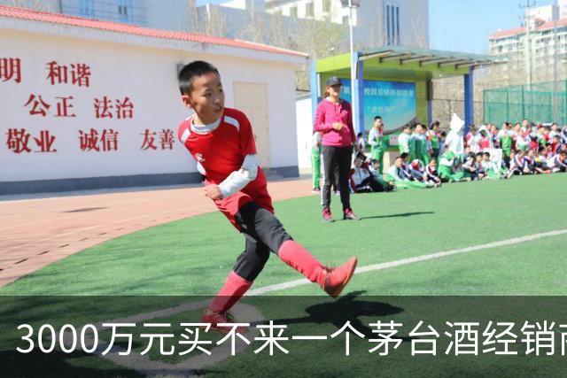 3000万元买不来一个茅台酒经销商资格：拆解千万元合同预付款纠纷背后的经销权真相