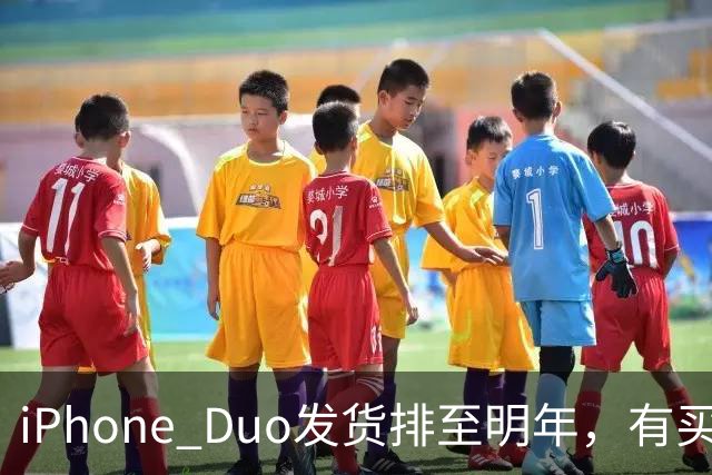 iPhone Duo发货排至明年，有买家加价超7000元